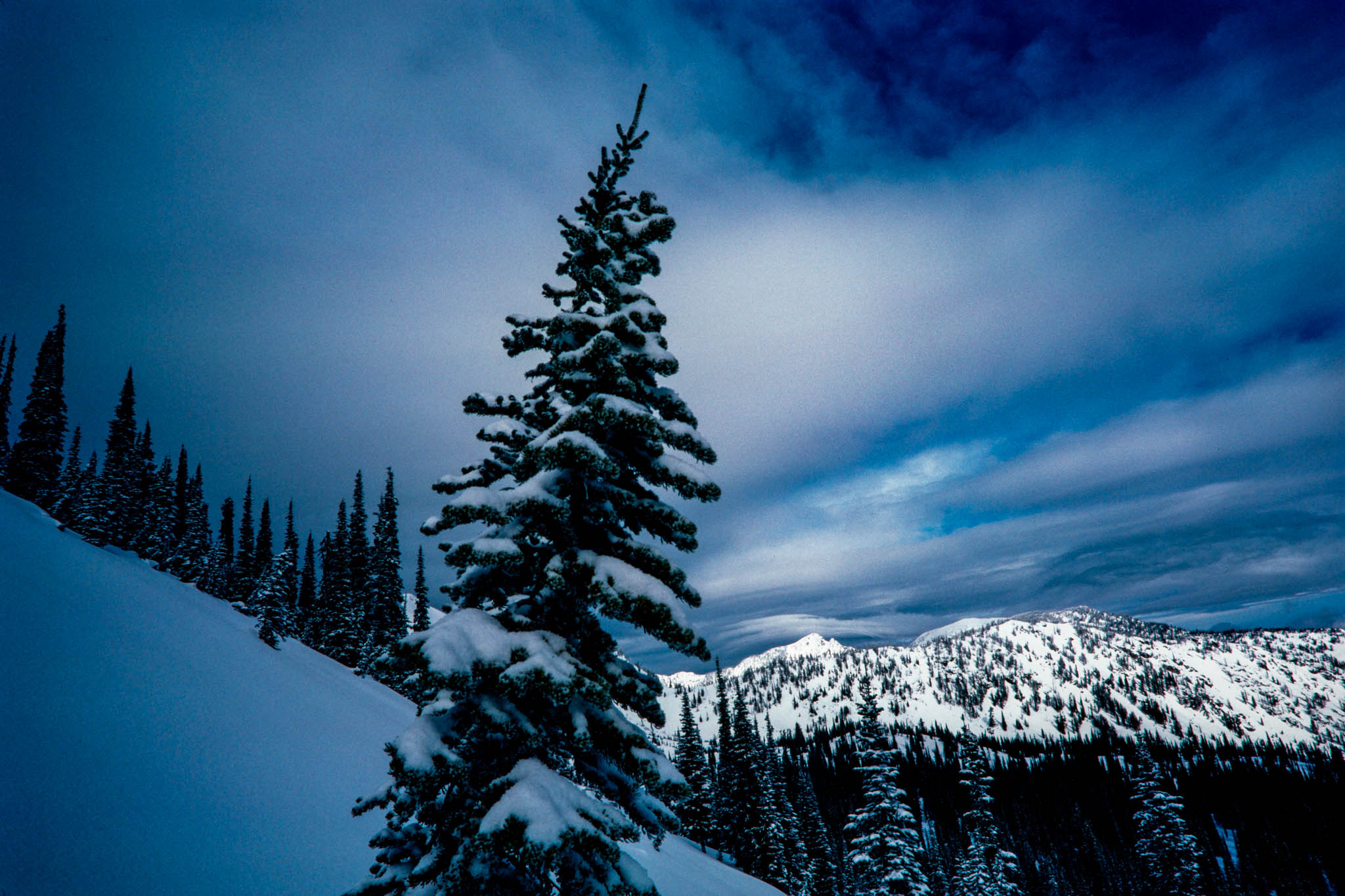 Rattlesnake wilderness
